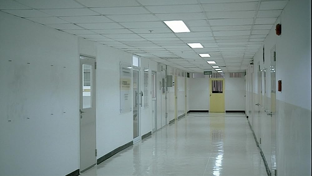 世紀の光の画像