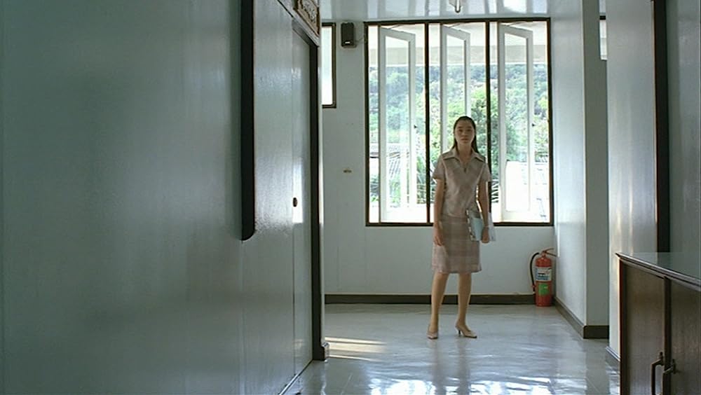 世紀の光の画像