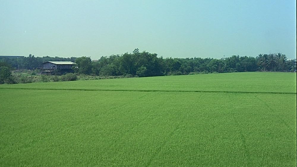 世紀の光の画像