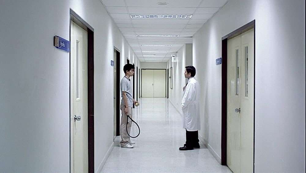 世紀の光の画像