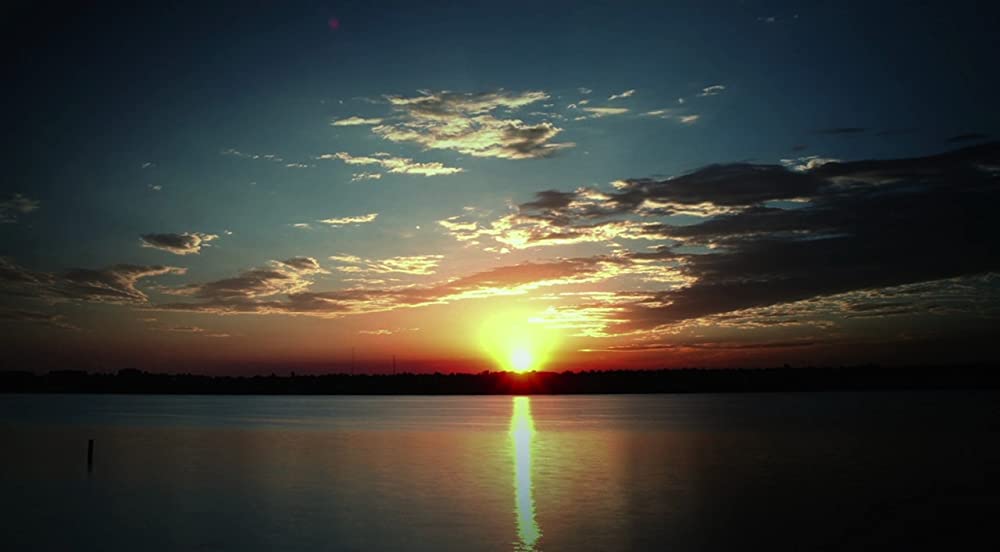 ザ・コントロールの画像