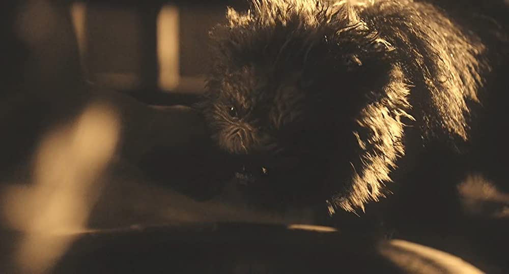 ムルゲ 王朝の怪物の画像