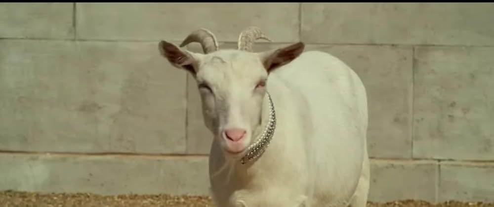 「マレフィセント2」の画像