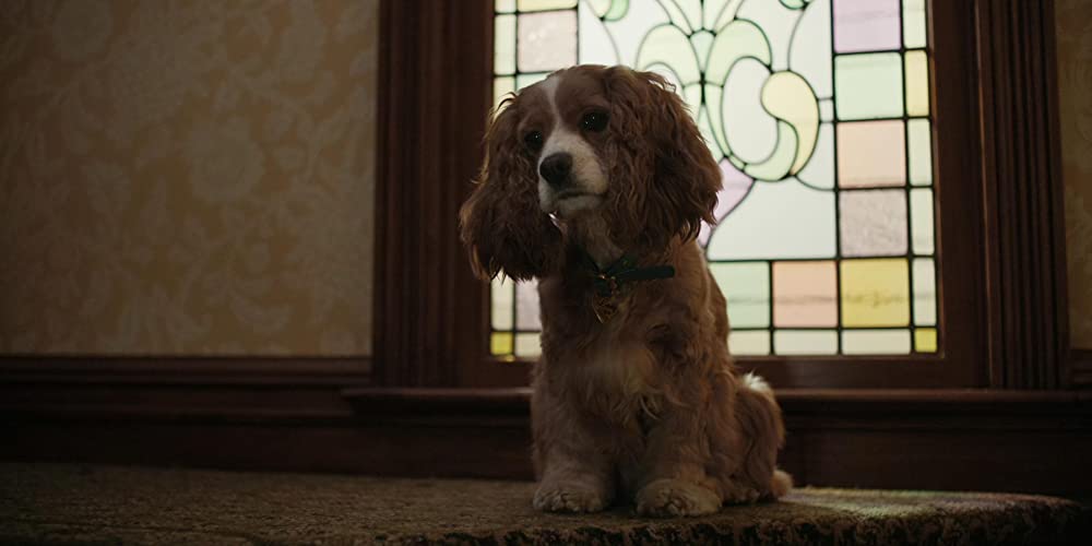 わんわん物語の画像