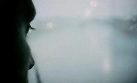 「ブラウン・バニー」の画像