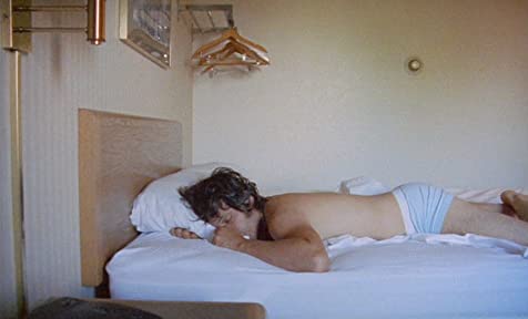 ブラウン・バニーの画像