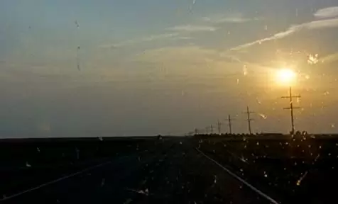 「ブラウン・バニー」の画像