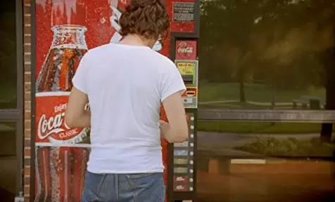 「ブラウン・バニー」の画像