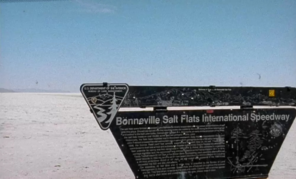 「ブラウン・バニー」の画像