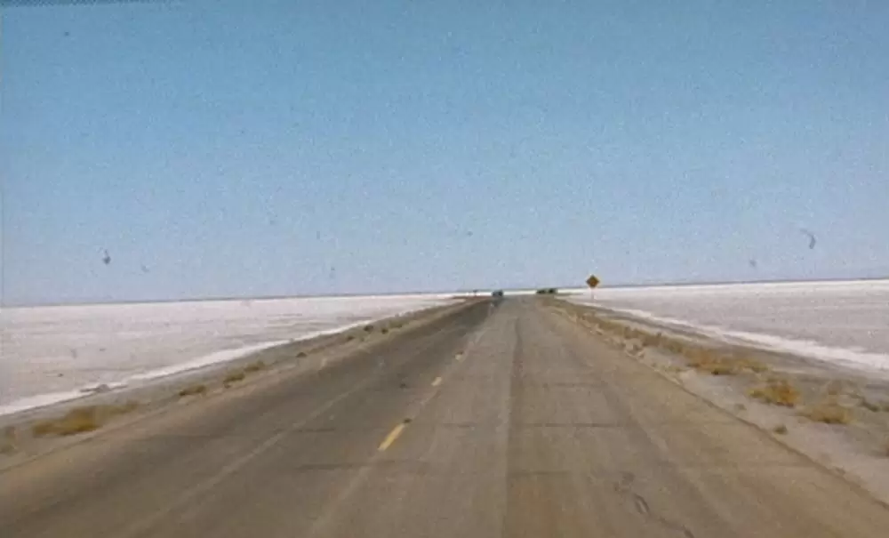 「ブラウン・バニー」の画像