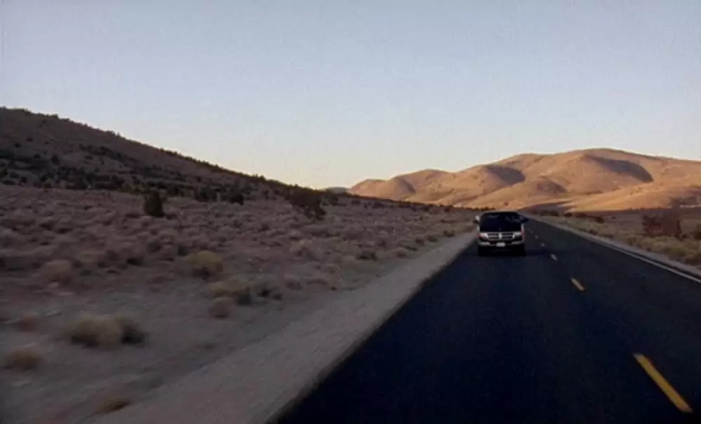 「ブラウン・バニー」の画像