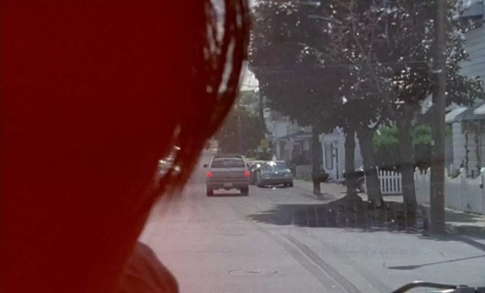 「ブラウン・バニー」の画像