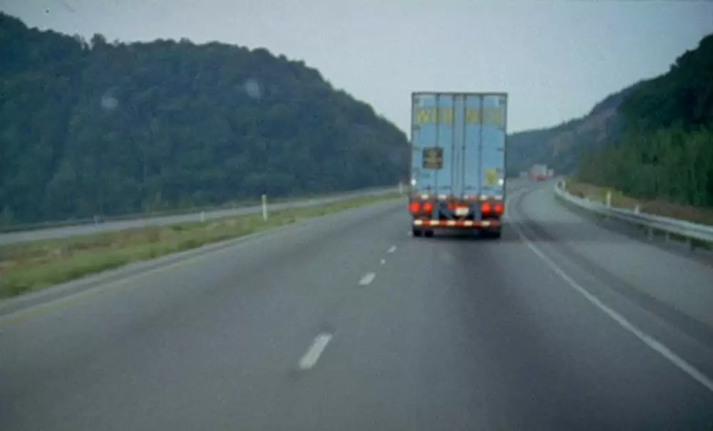 「ブラウン・バニー」の画像