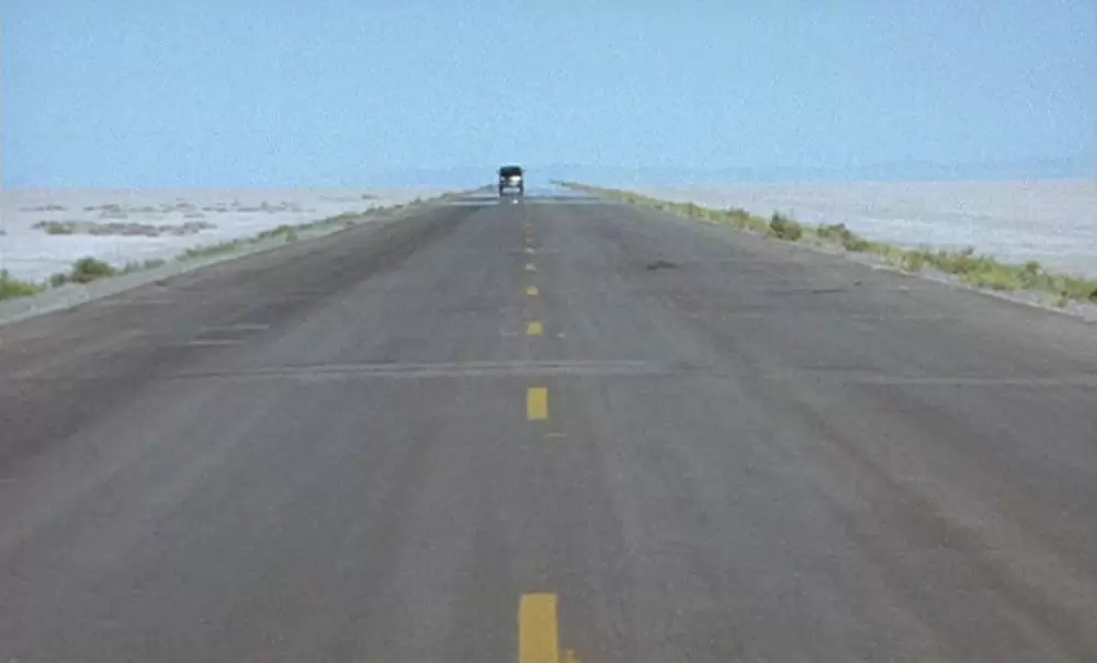 「ブラウン・バニー」の画像