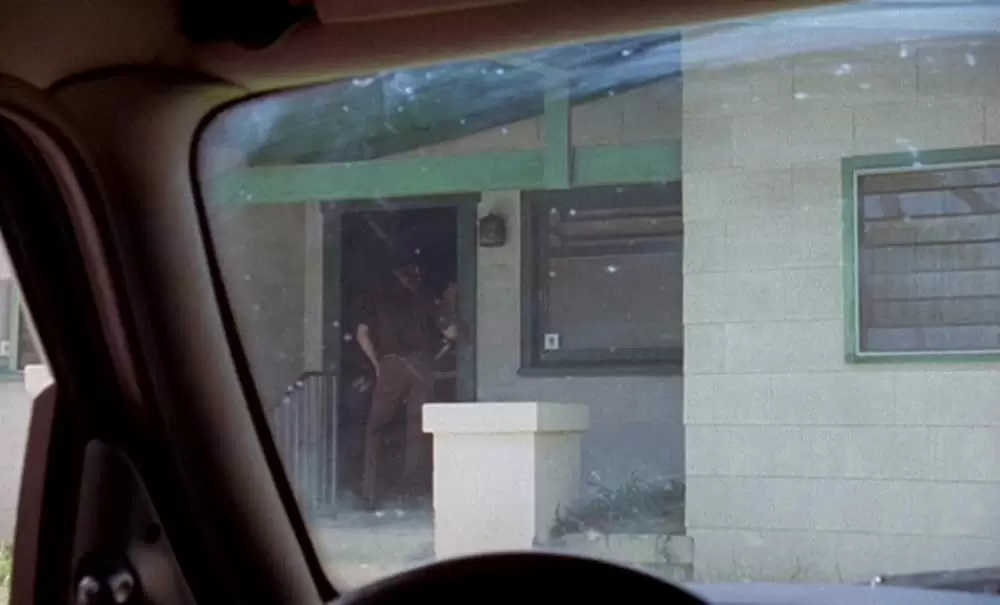 「ブラウン・バニー」の画像