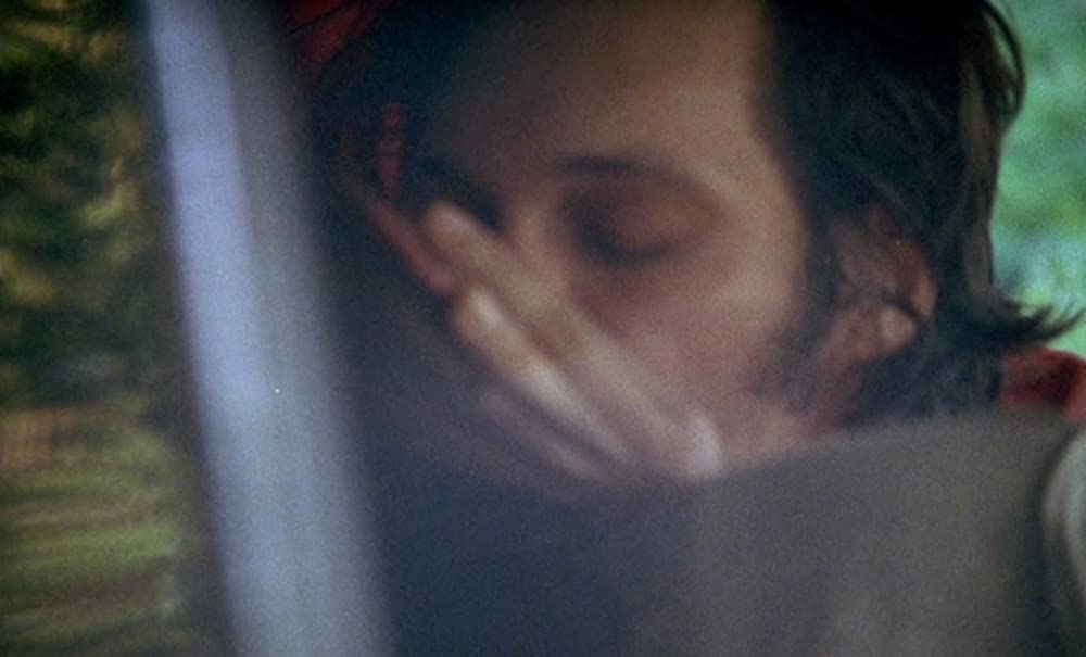 ブラウン・バニーの画像