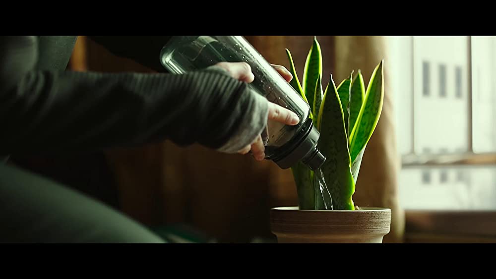 「#生きている」パク・シネの画像