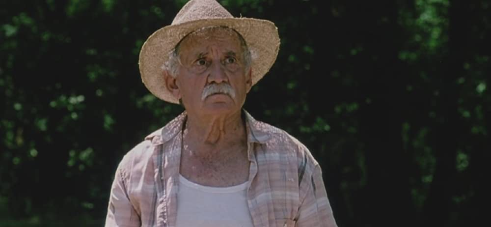 スイミング・プールの画像