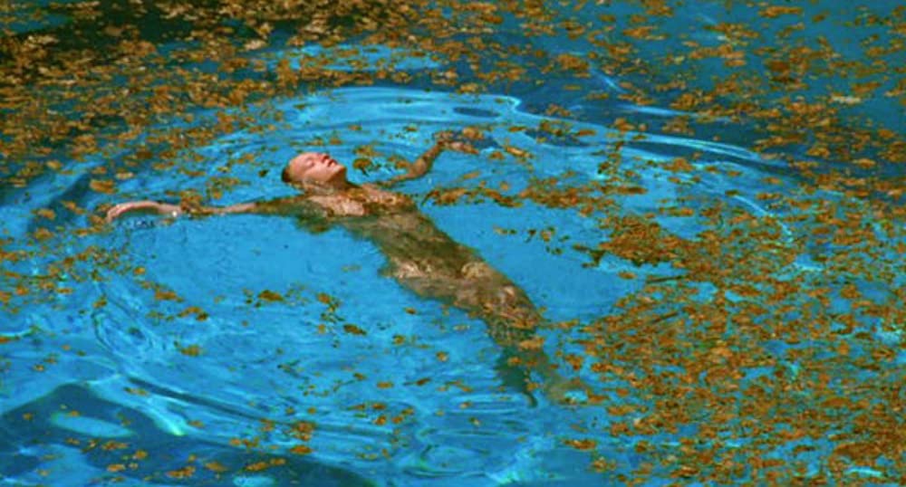 スイミング・プールの画像