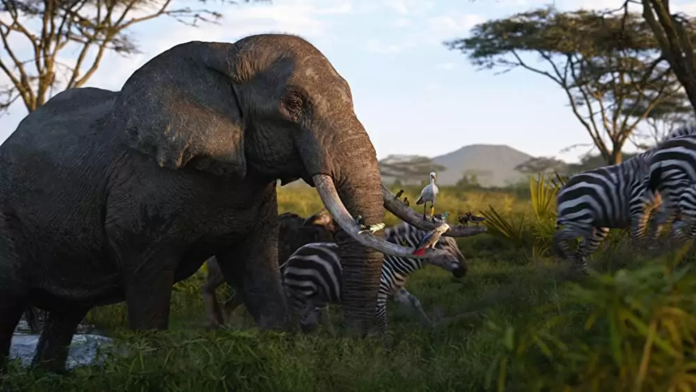 ライオン・キングの画像