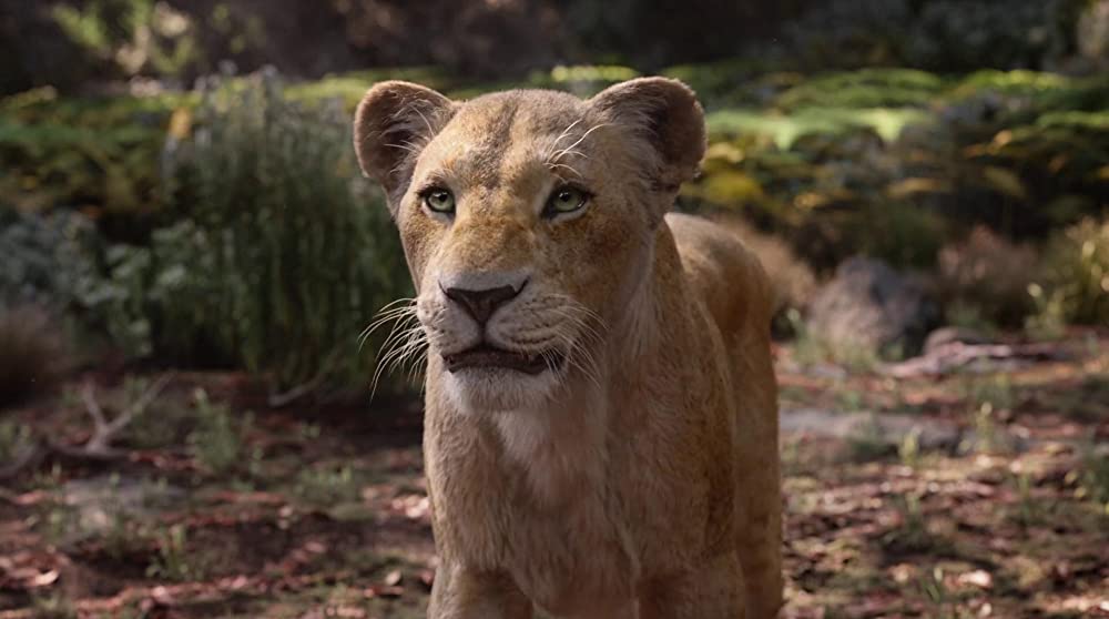 ライオン・キングの画像