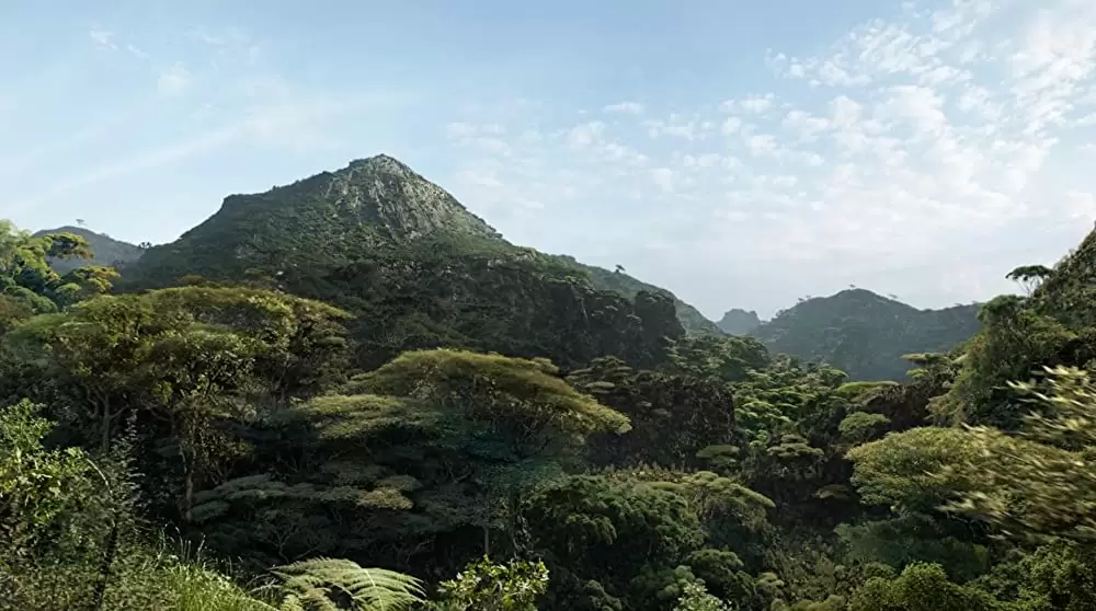 ライオン・キングの画像