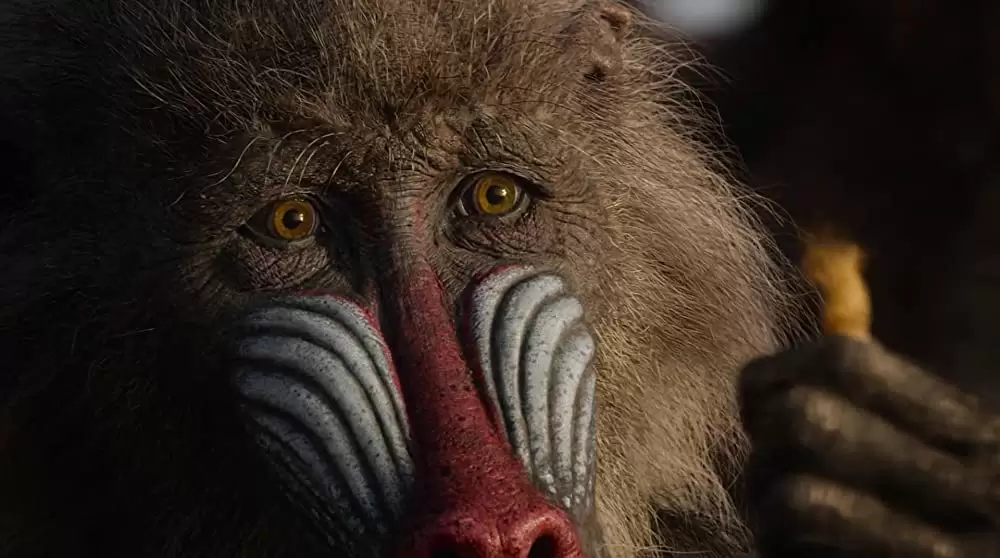 ライオン・キングの画像