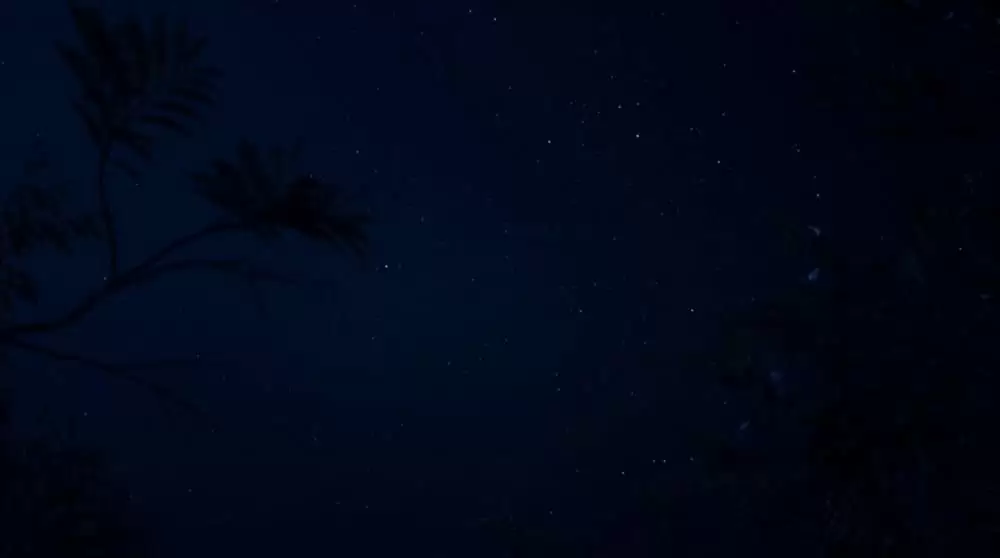 ライオン・キングの画像