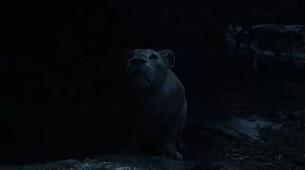 ライオン・キングの画像