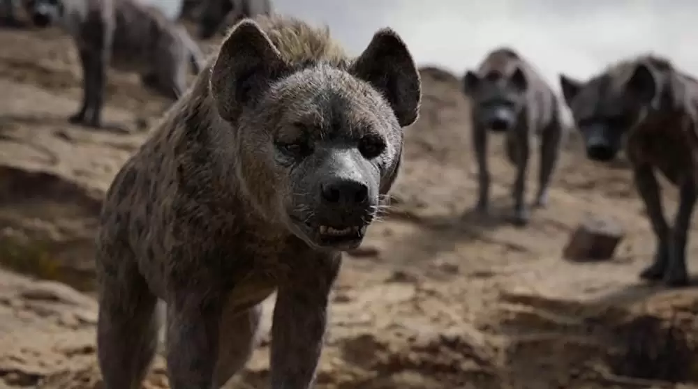 「ライオン・キング」フローレンス・カスンバの画像