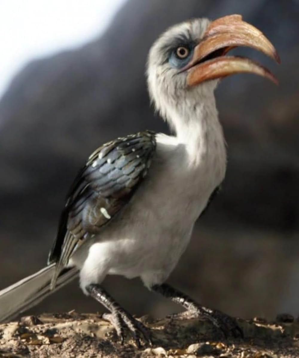 ライオン・キングの画像