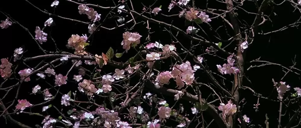 ドッグヴィルの画像