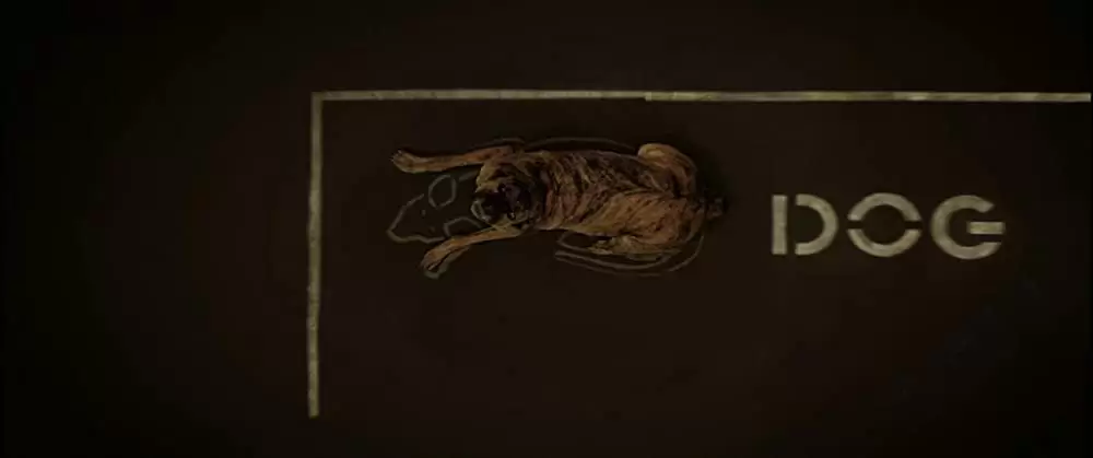 ドッグヴィルの画像