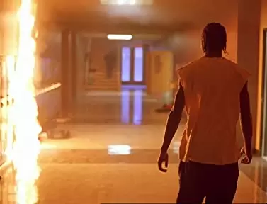 エレファントの画像