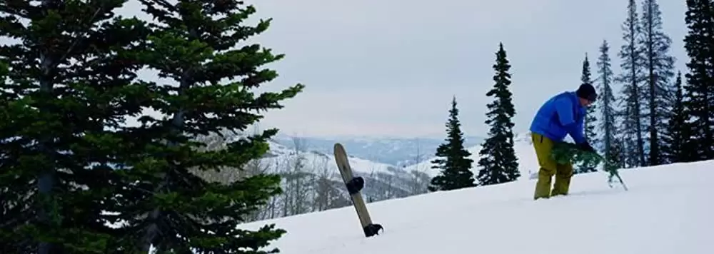 マイナス21℃の画像