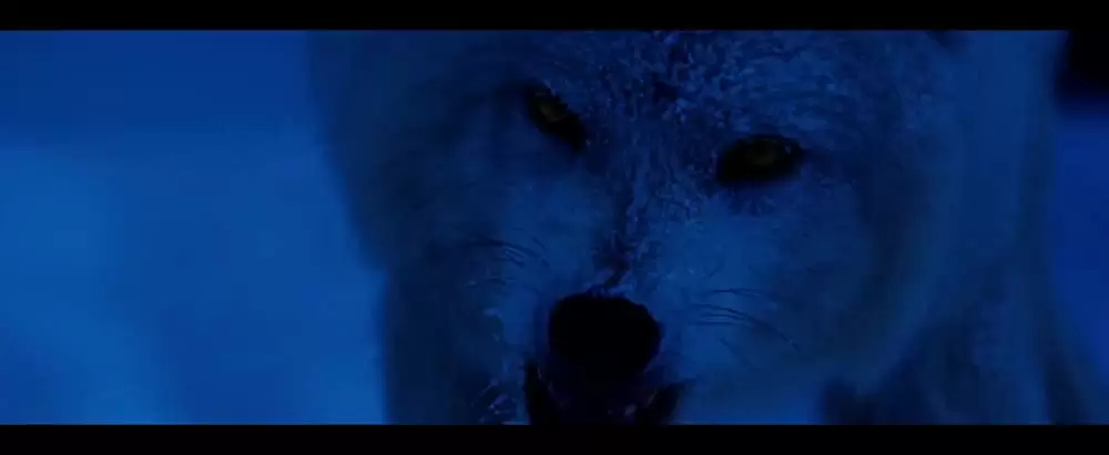 マイナス21℃の画像