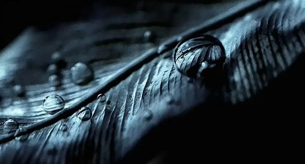 シティ・オブ・ゴッドの画像