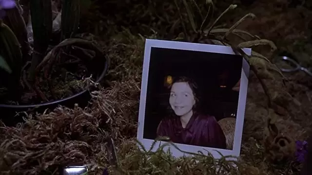 「セクレタリー」マギー・ギレンホールの画像