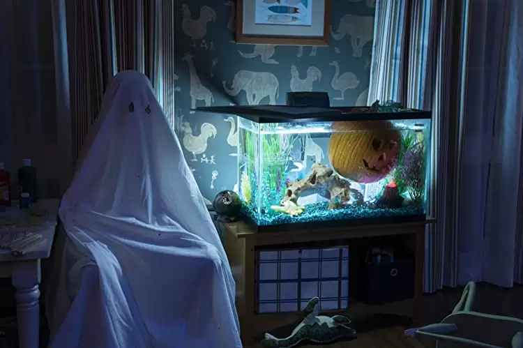 「ハロウィン」バージニア・ガードナーの画像