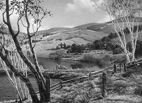 白い恐怖の画像