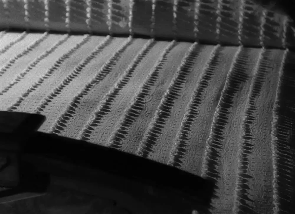 白い恐怖の画像