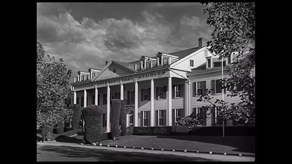 白い恐怖の画像