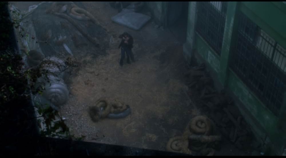 ツイステッドの画像