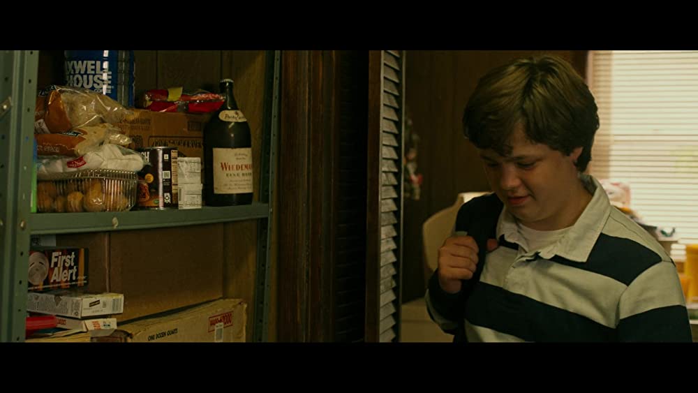 ヒルビリー・エレジー -郷愁の哀歌-の画像