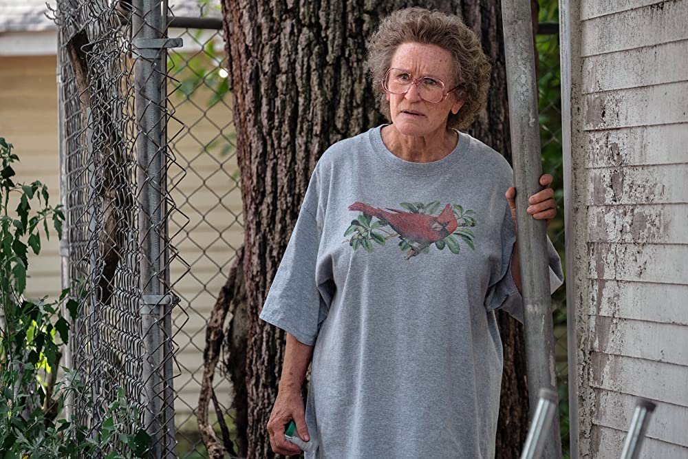 ヒルビリー・エレジー -郷愁の哀歌-の画像