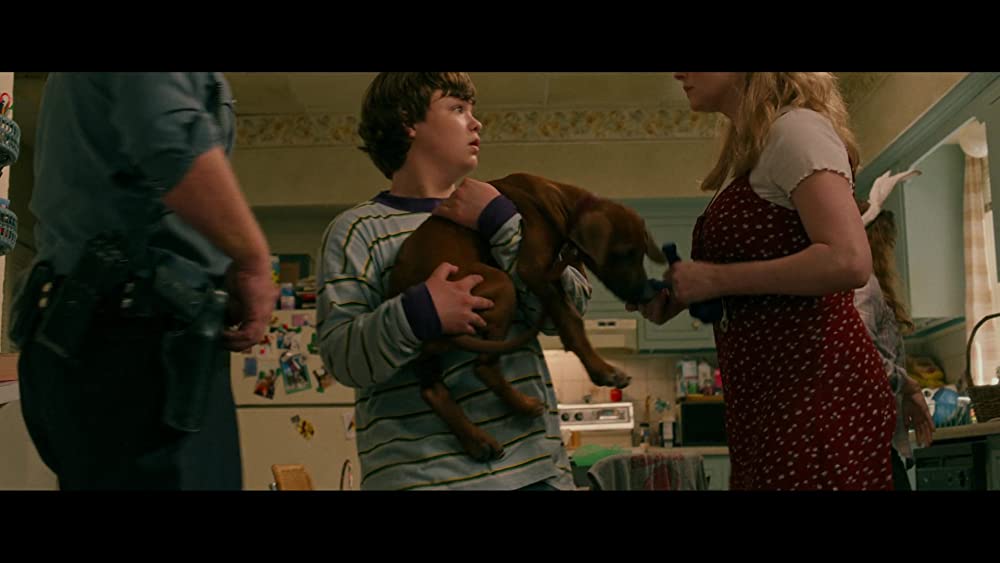 ヒルビリー・エレジー -郷愁の哀歌-の画像