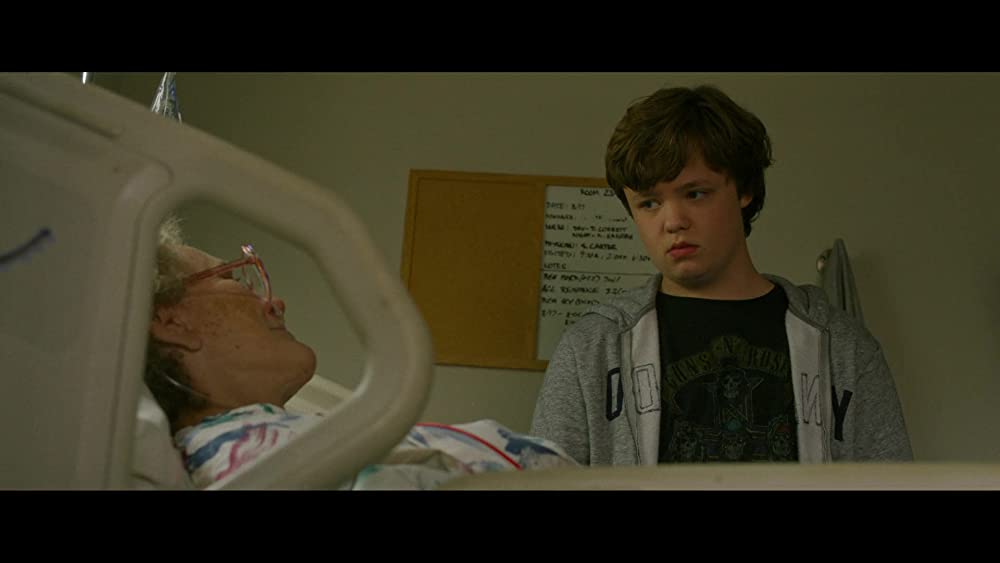 ヒルビリー・エレジー -郷愁の哀歌-の画像