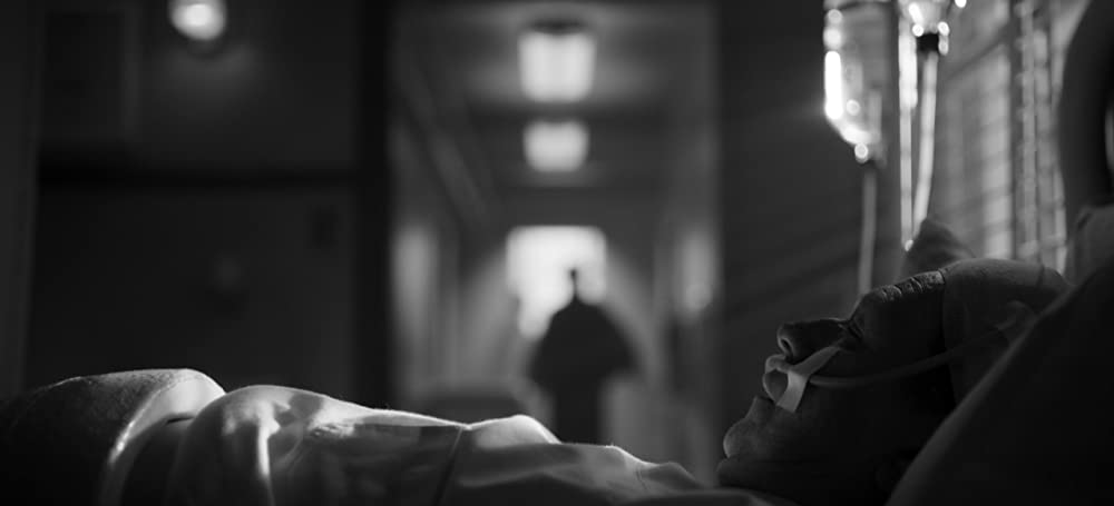 Mank/マンクの画像