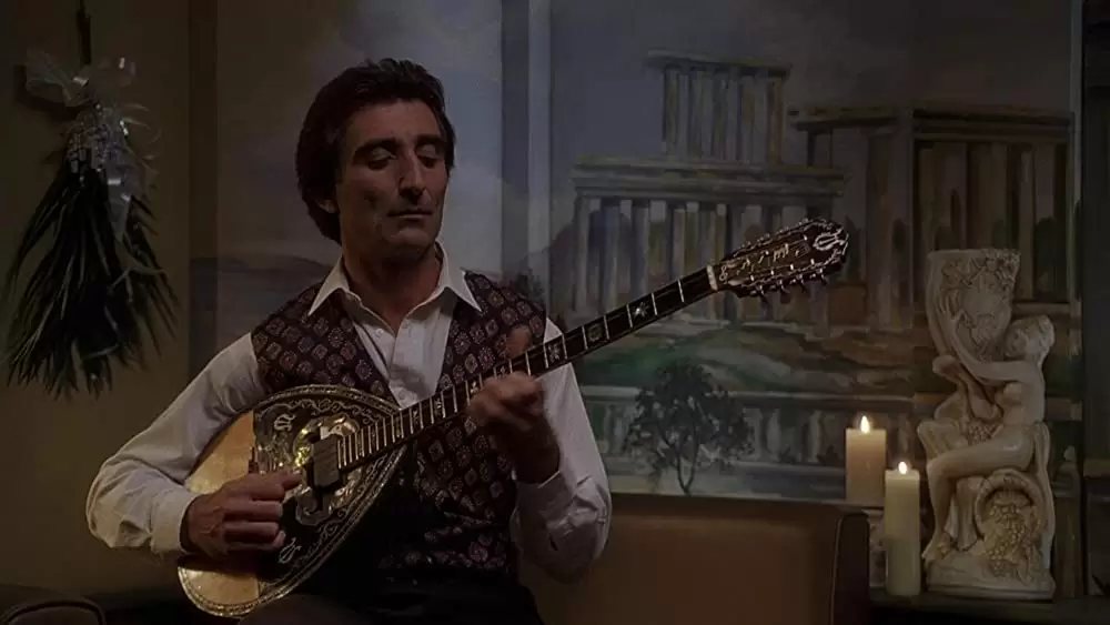 マイ・ビッグ・ファット・ウェディングの画像