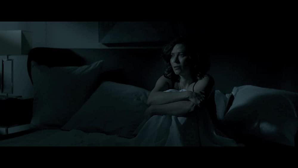 サイバー・リベンジャーの画像